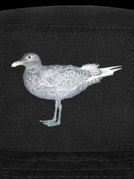 seagull