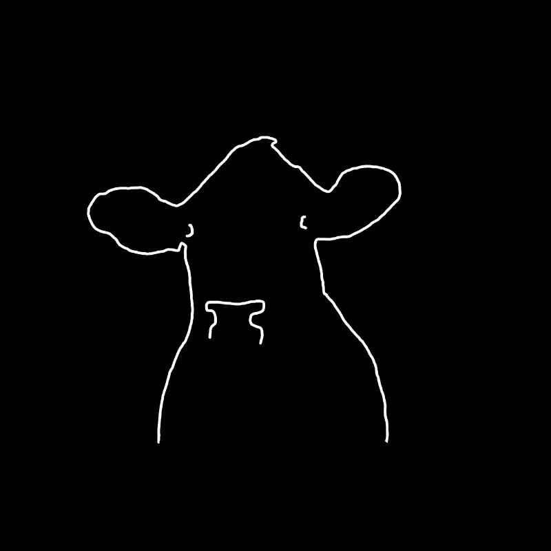 vache