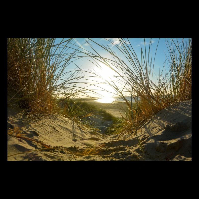 Idylle des dunes