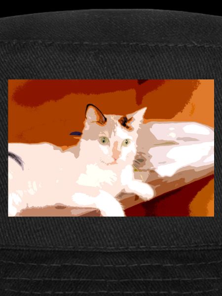 j'aime les chats