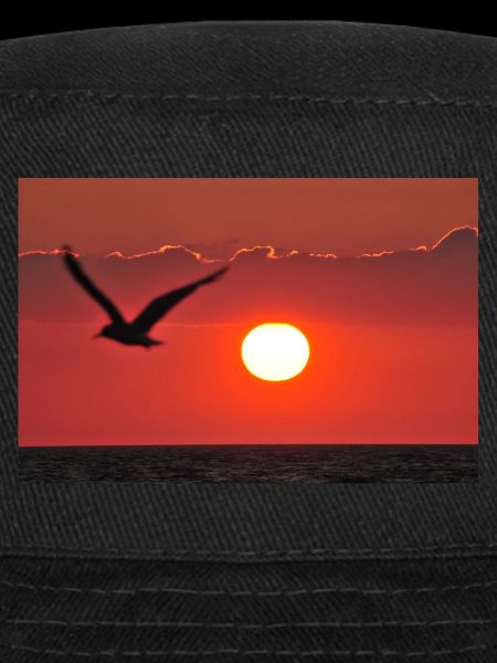 Abendrot mit Möwe