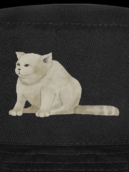 Gros chat gâté