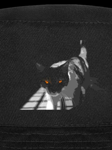 the strange cat