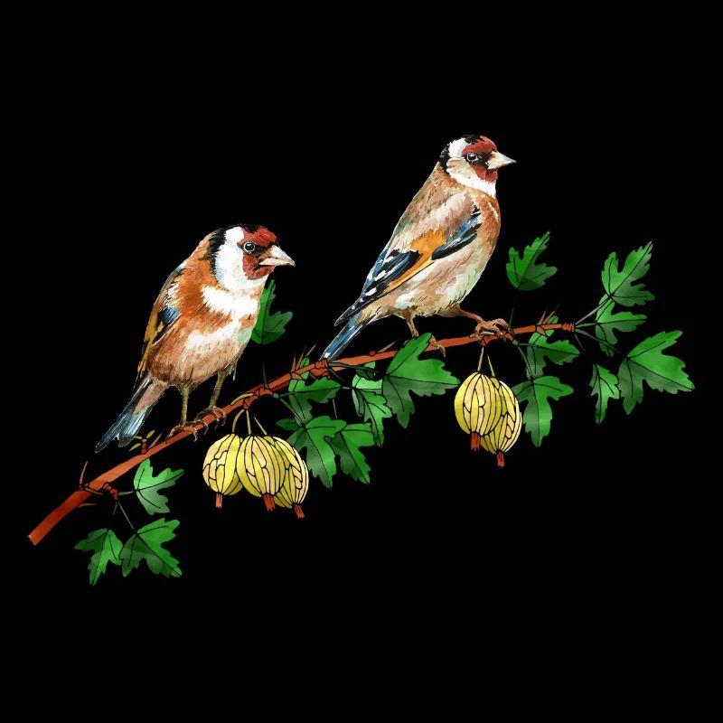 Colorful birds