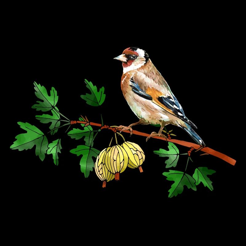 Oiseau coloré