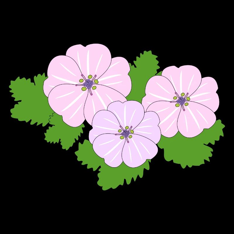 Belle mauve