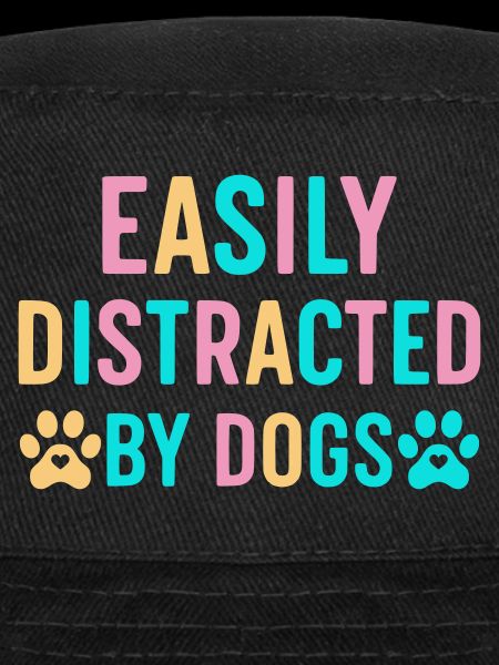 Facilement distrait par les chiens