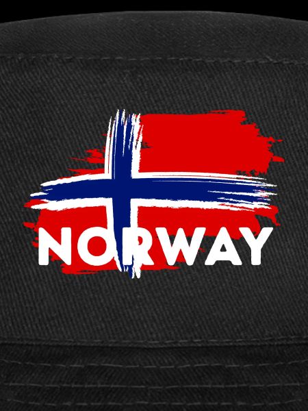 Norway Flag Brushstroke Theme