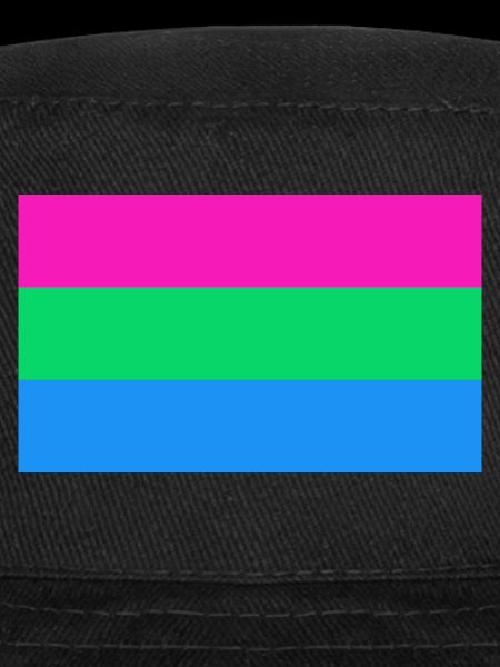 LGBT Polysexual