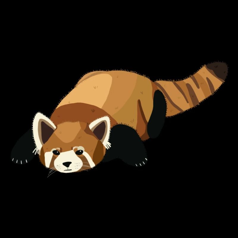 Panda Roux