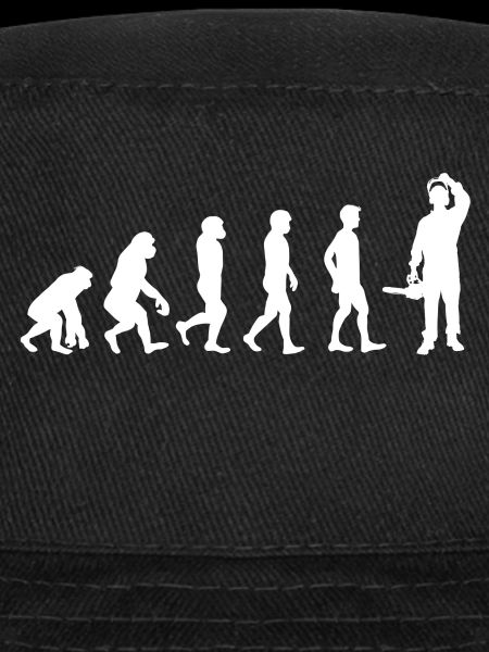 Evolution du bois / BOIS /