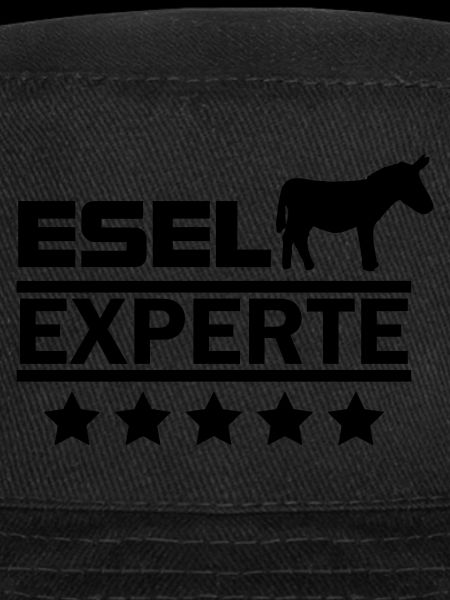 Esel Experte