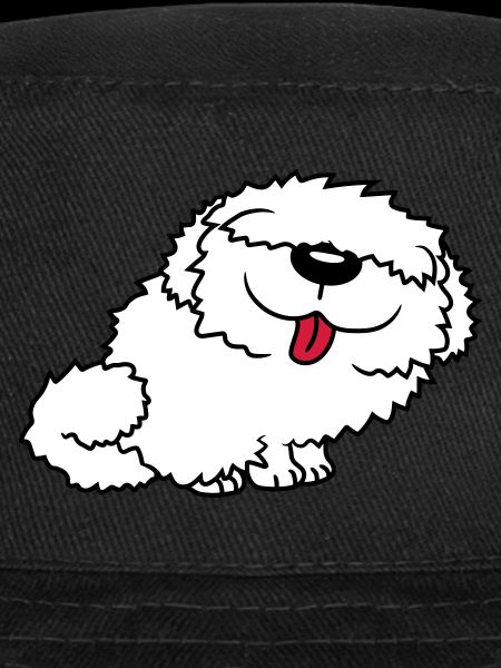 Bobtail drôle