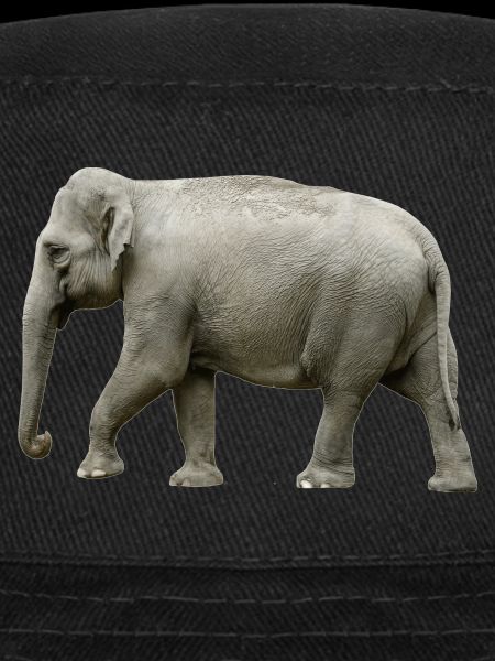 L'éléphant a la peau épaisse