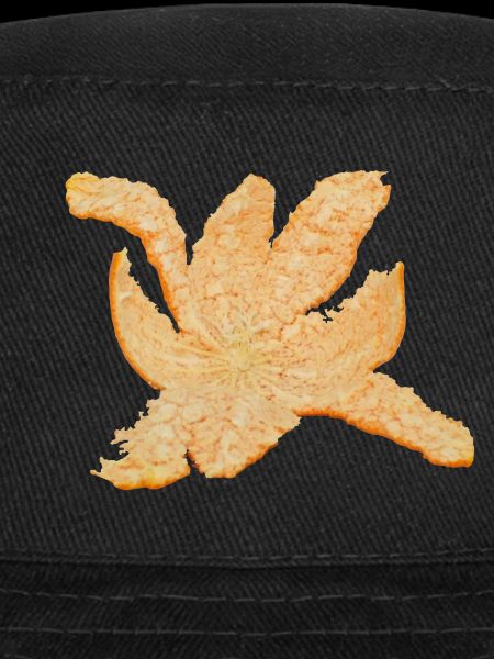 Orange peel