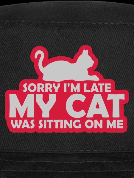 désolé chat était assis