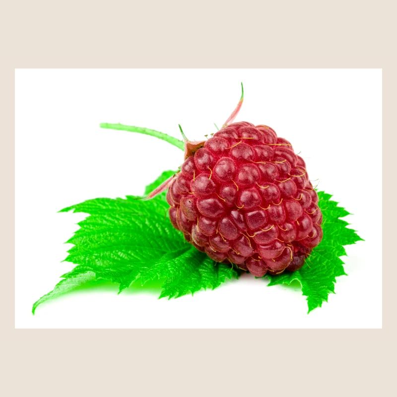 Raspberry. Raspberry