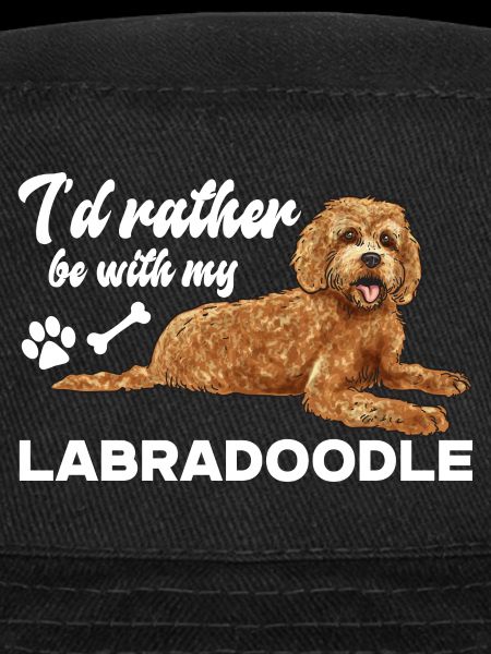 Labradoodle Hund