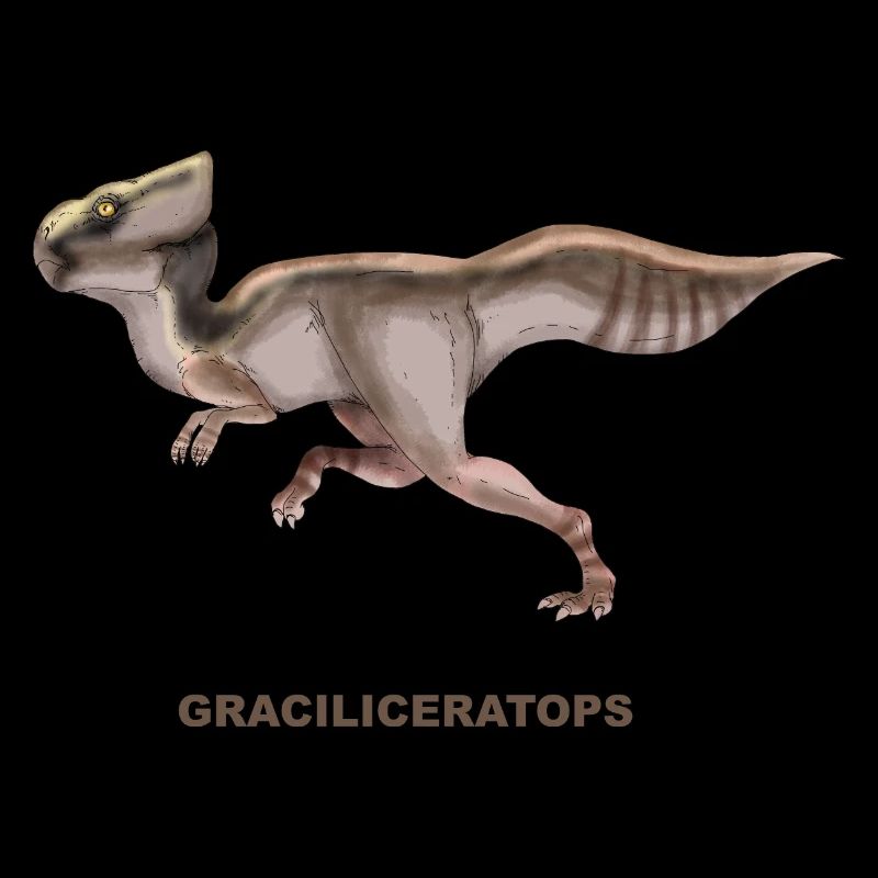 GRACILICERATOPS