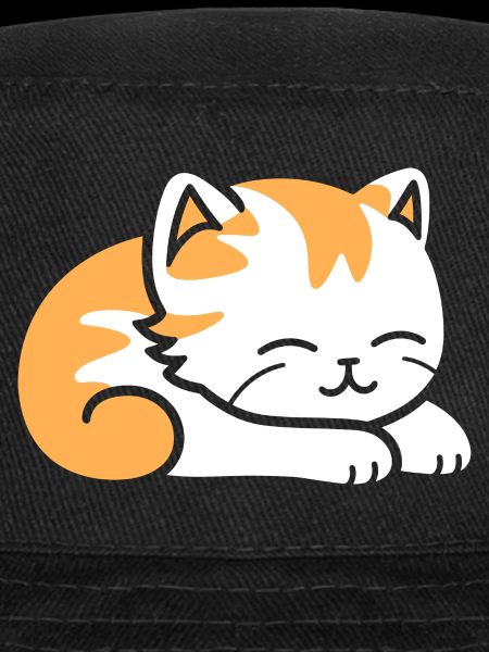 Bébé chat qui dors