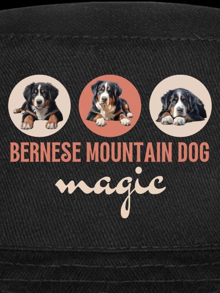 Bouvier bernois Magic