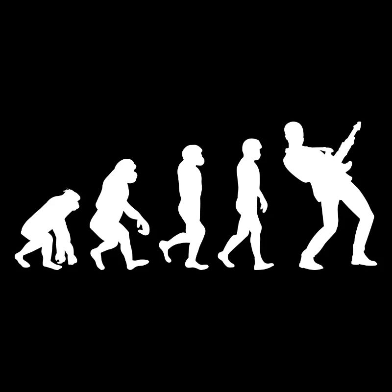 Basse Guitariste Musicien Bassiste Evolution