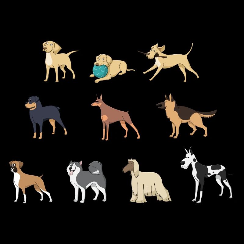 Chien