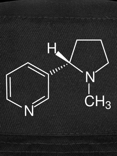 Nicotine structural formula