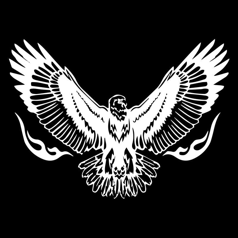 Eagle Wings
