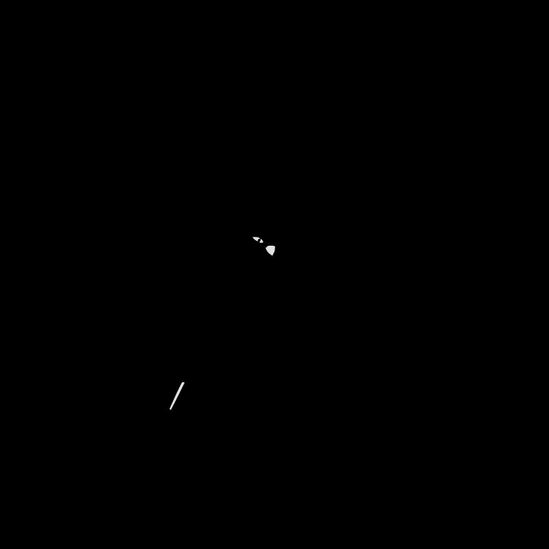 oiseau noir