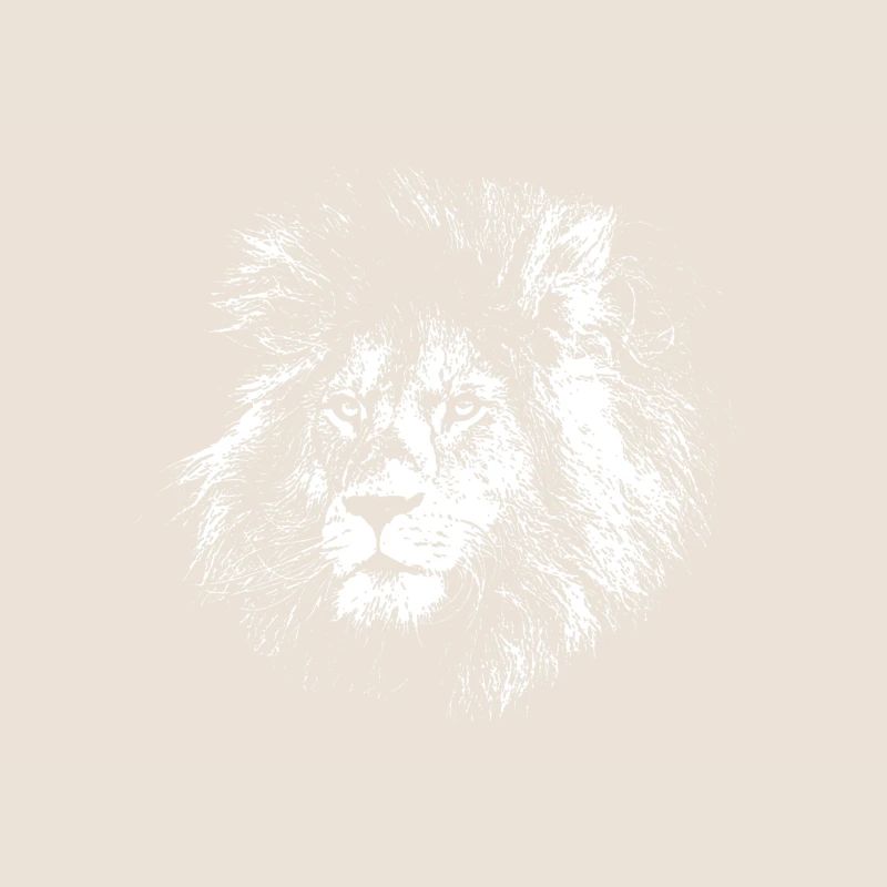 Dessin de lion