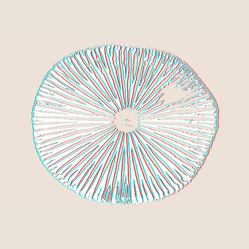 Champignons magiques psychédéliques impression 3D minimale