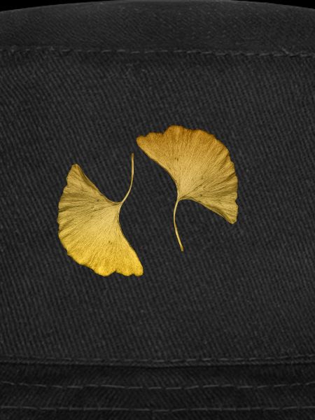 feuilles de ginkgo dorés