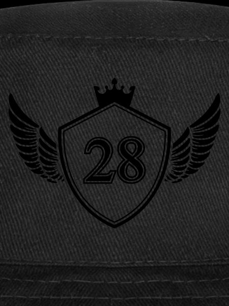 Armoiries 28