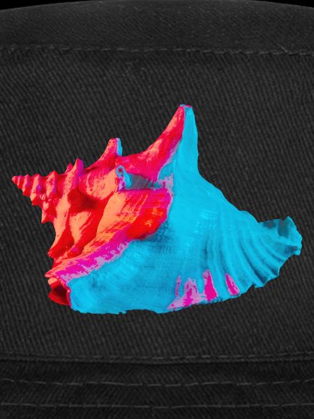 Coquille Pop Art