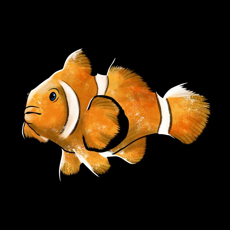 Clownfisch