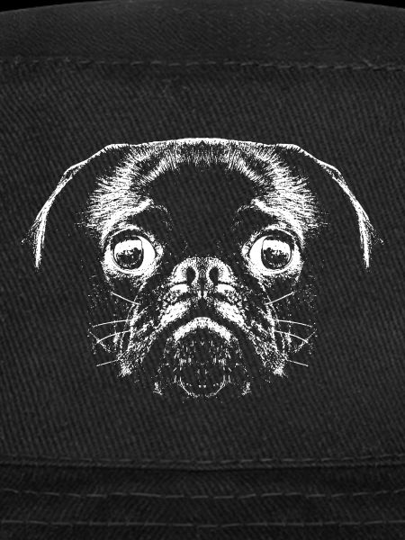 Pug / Face / Head