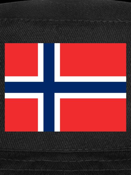 Drapeau Norvège