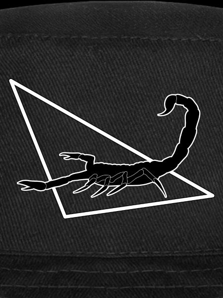 Scorpion