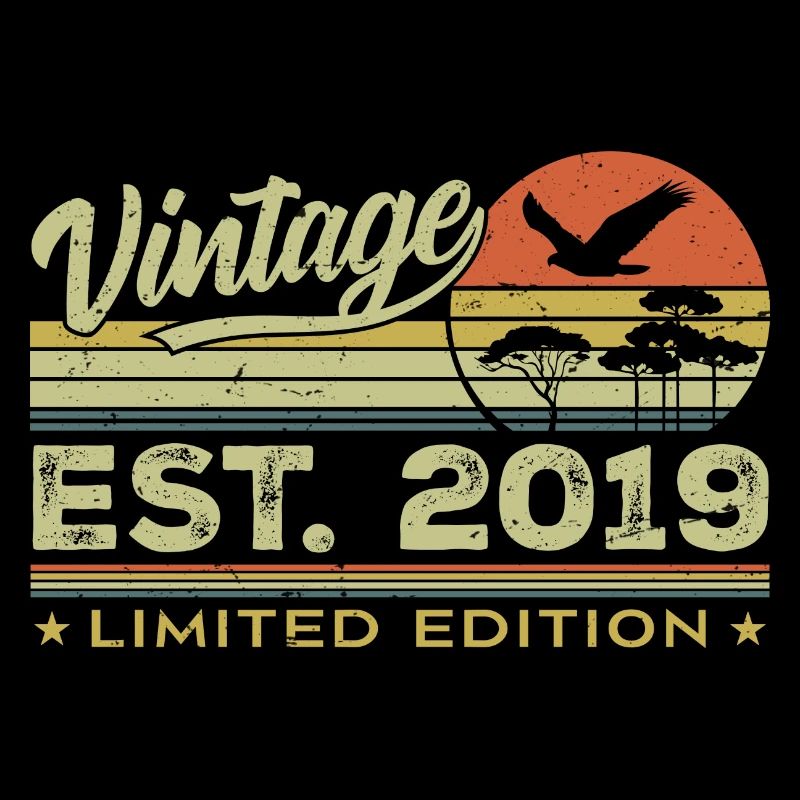 Vintage 2019 Awesome Since 2019 Gift 2019 Retro
