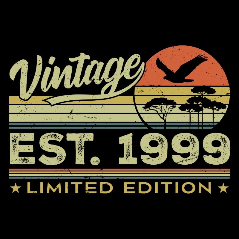 Vintage 1999 Awesome Since 1999 Gift 1999 Retro