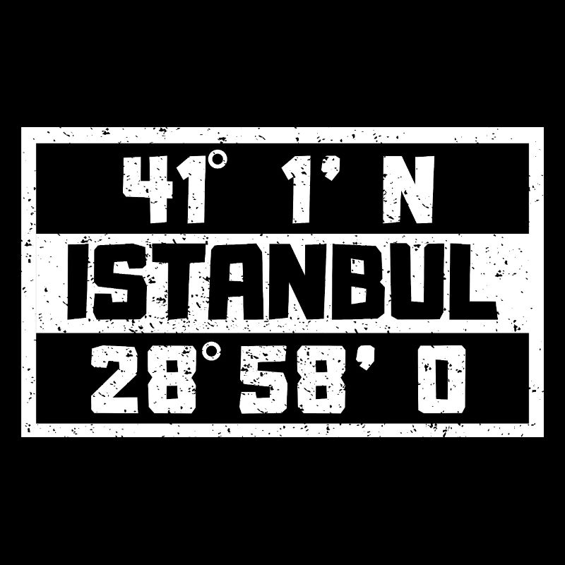 Istanbul Coordinates Turkey Holiday Idea