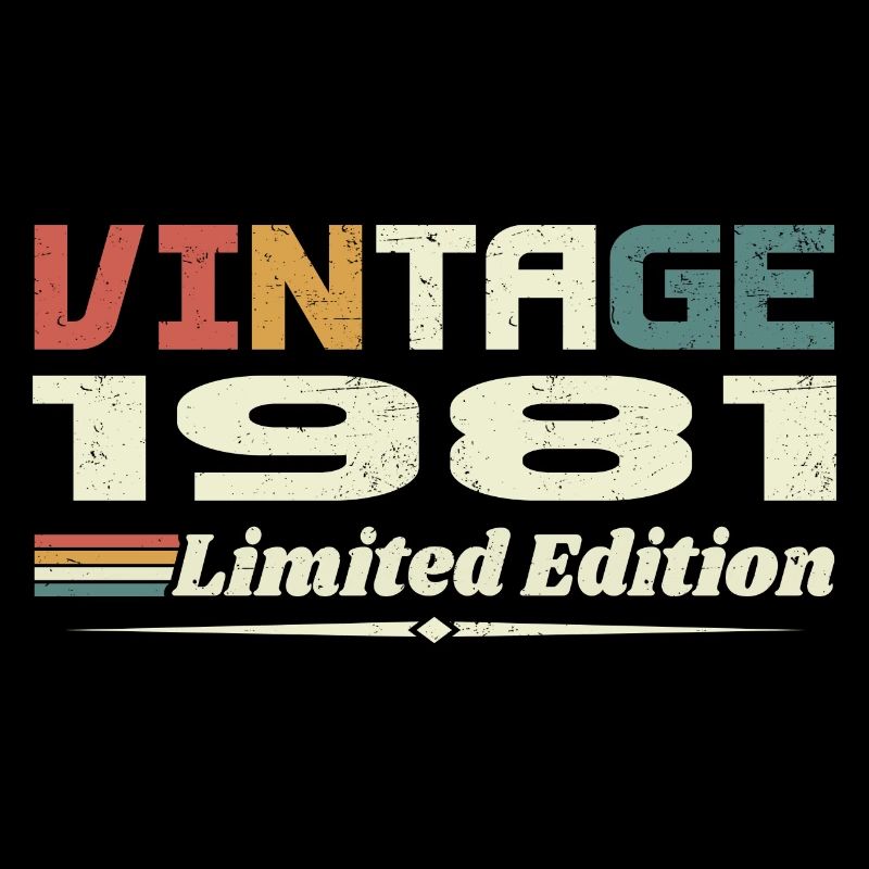 Vintage 1981 Gift 1981 Birthday 1981 Retro