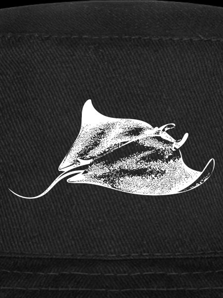 Manta Rays Sealife