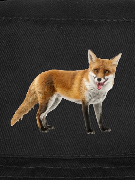 Renard