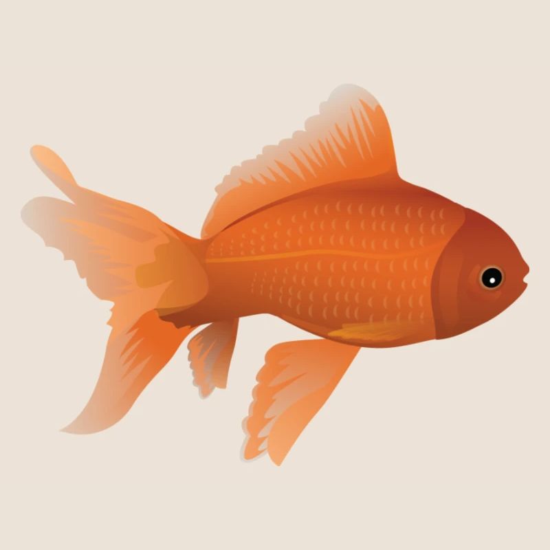Goldfish