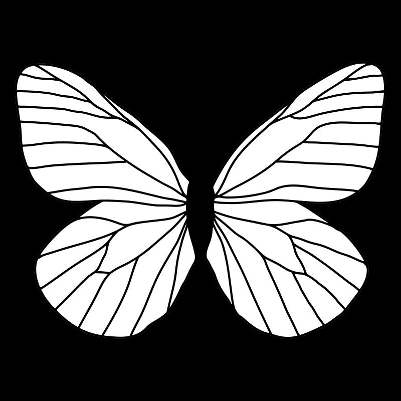Papillon blanc