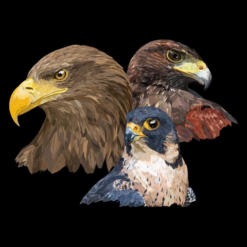Pigargo and Falcon