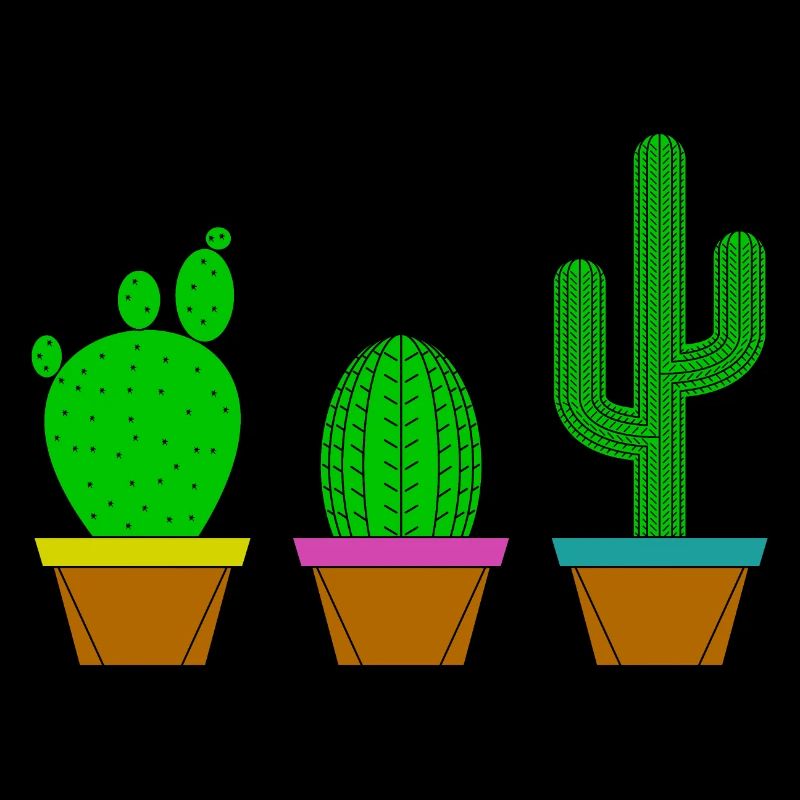 Cactus en pots