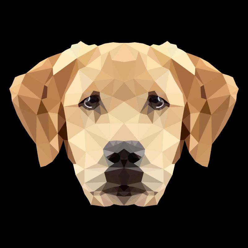 Chien Labrador Polygone